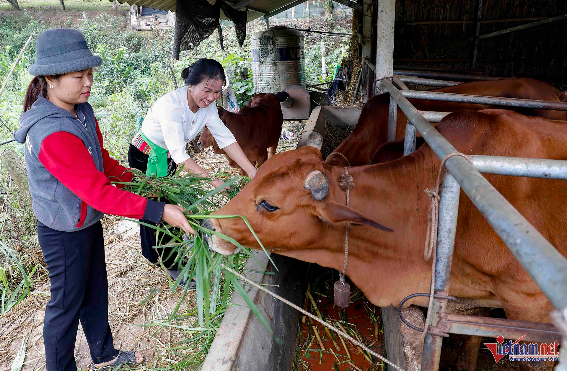 W-A16 DINH THI HIEN DT MUOG X TAN LAP TH SON_8915.jpg