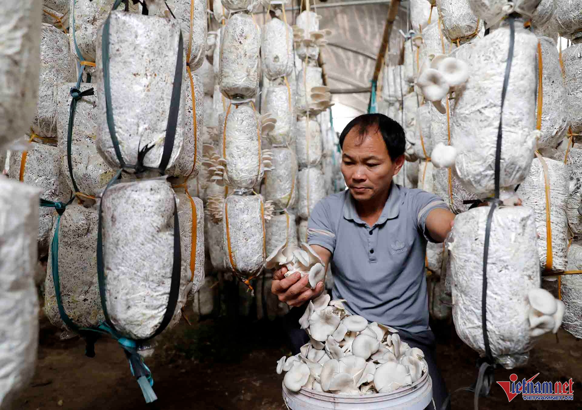 W-A17 NG VAN TRÌNH X TIẾN LỰC VV GQVL_9471.jpg