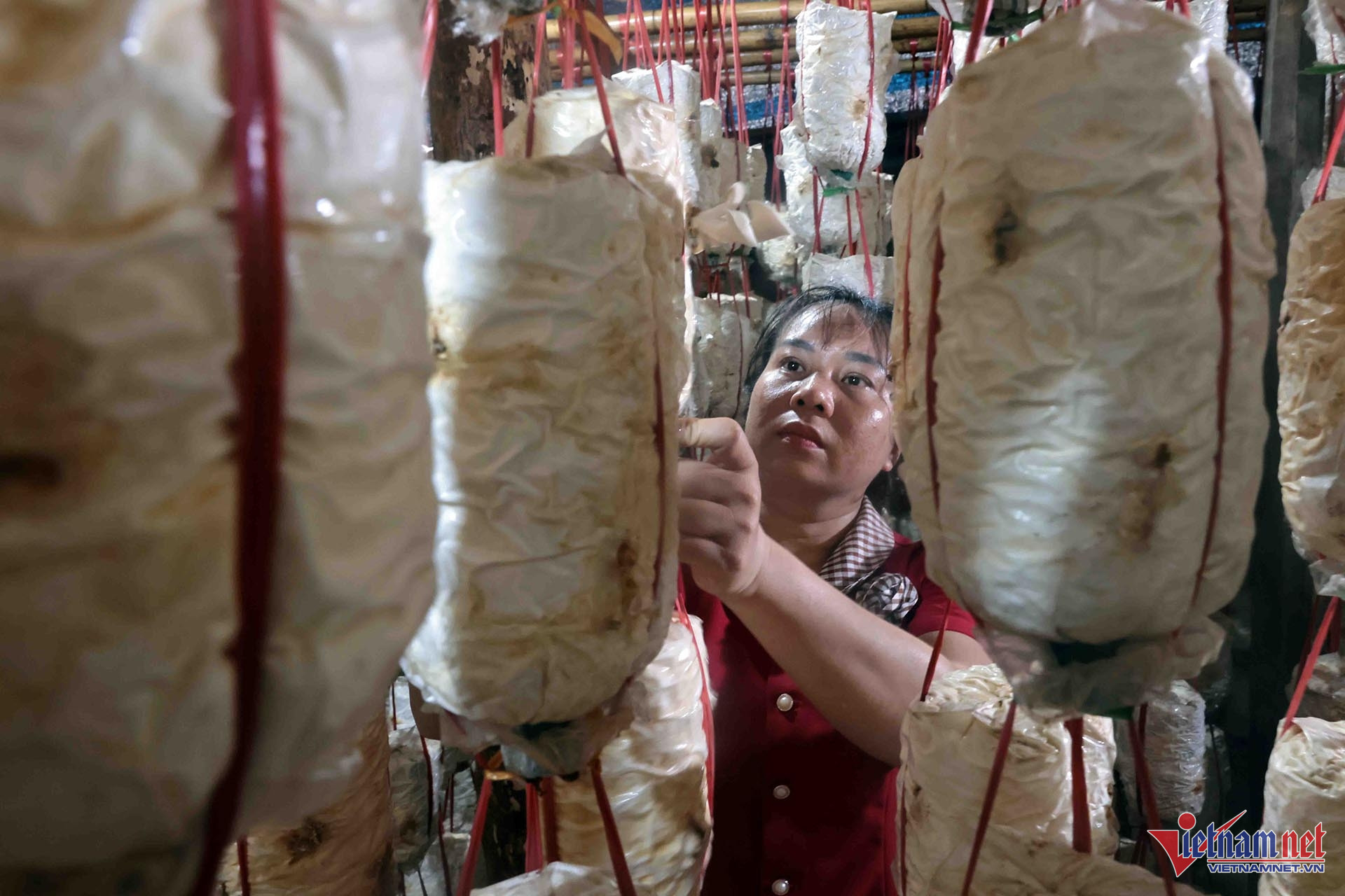 W-A6 HOANG THỊ HIEN DT TAY_8398.jpg