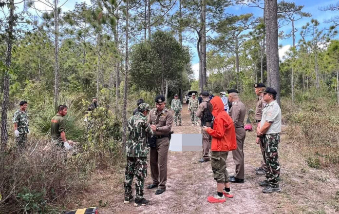 elephant Phu Kradueng1 696x439.jpg