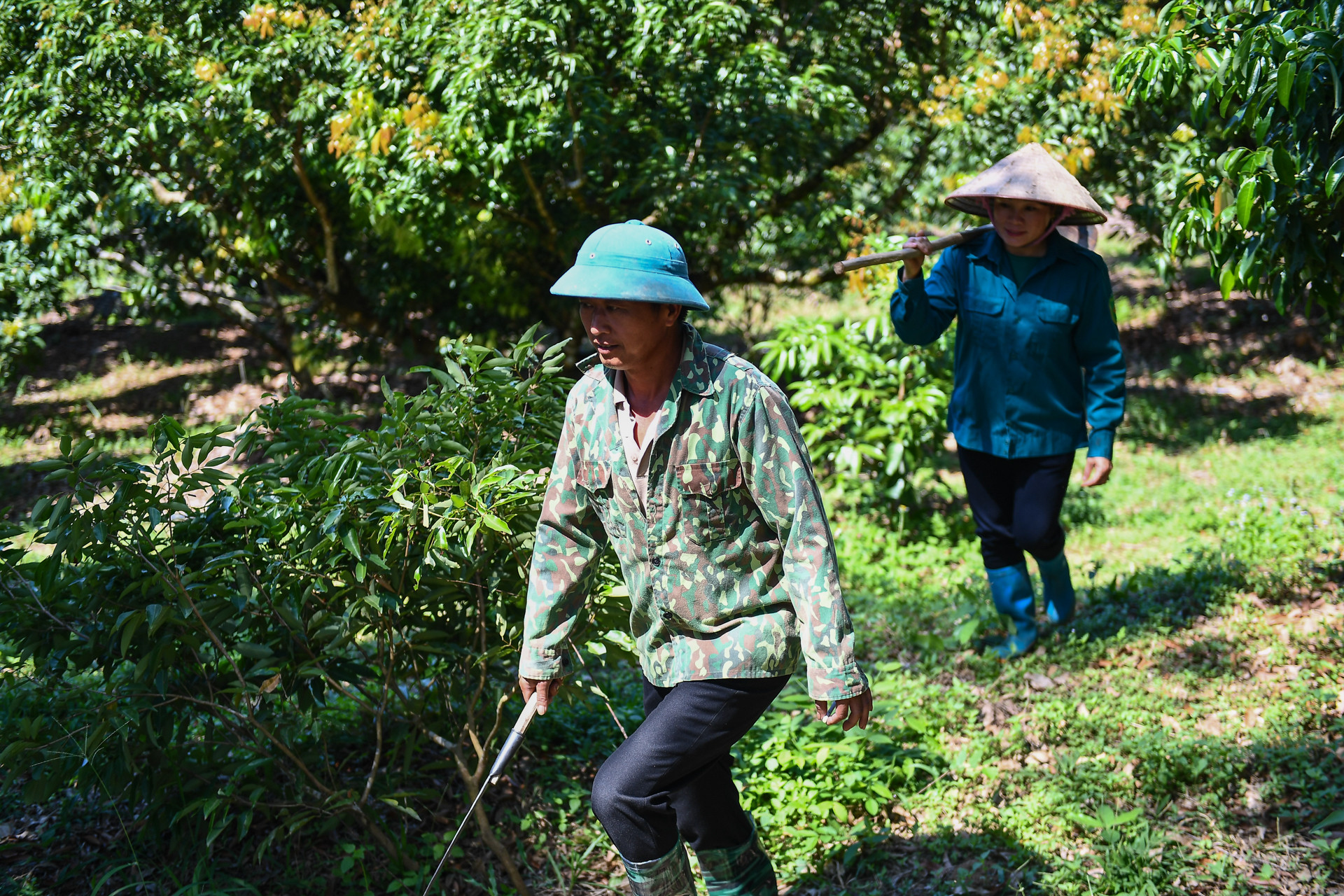 Thêm cơ hội thoát nghèo cho người dân Phước Sơn