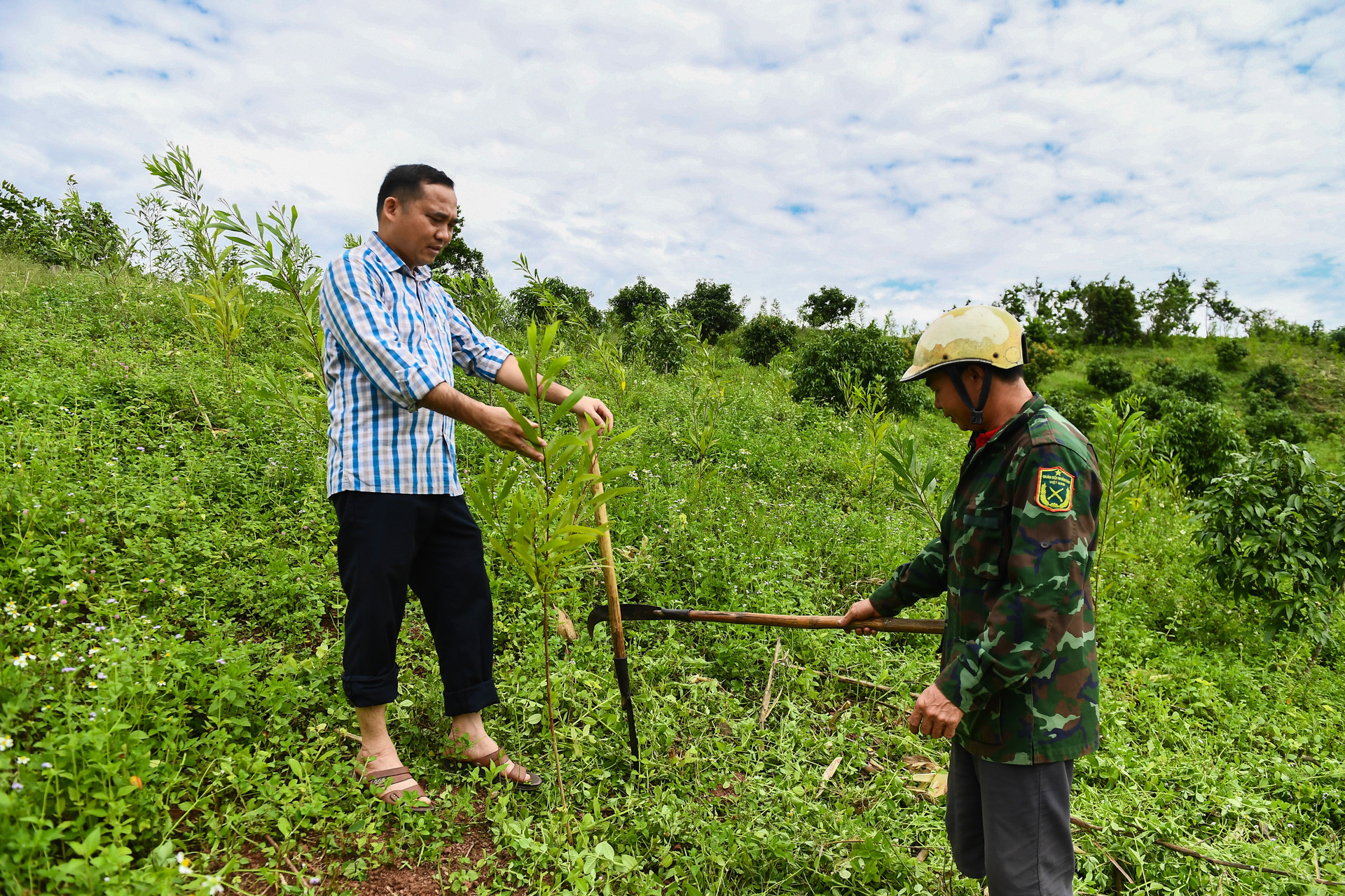 Hỗ trợ người dân nghèo phát triển sản xuất bằng các mô hình phù hợp