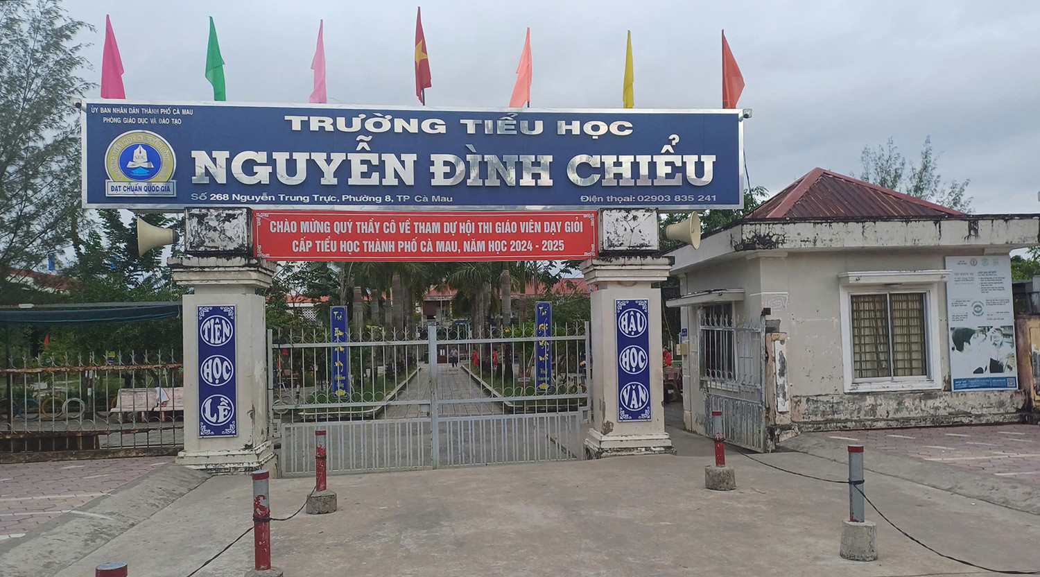 Trường Nguyễn Đình Chiểu.jpg