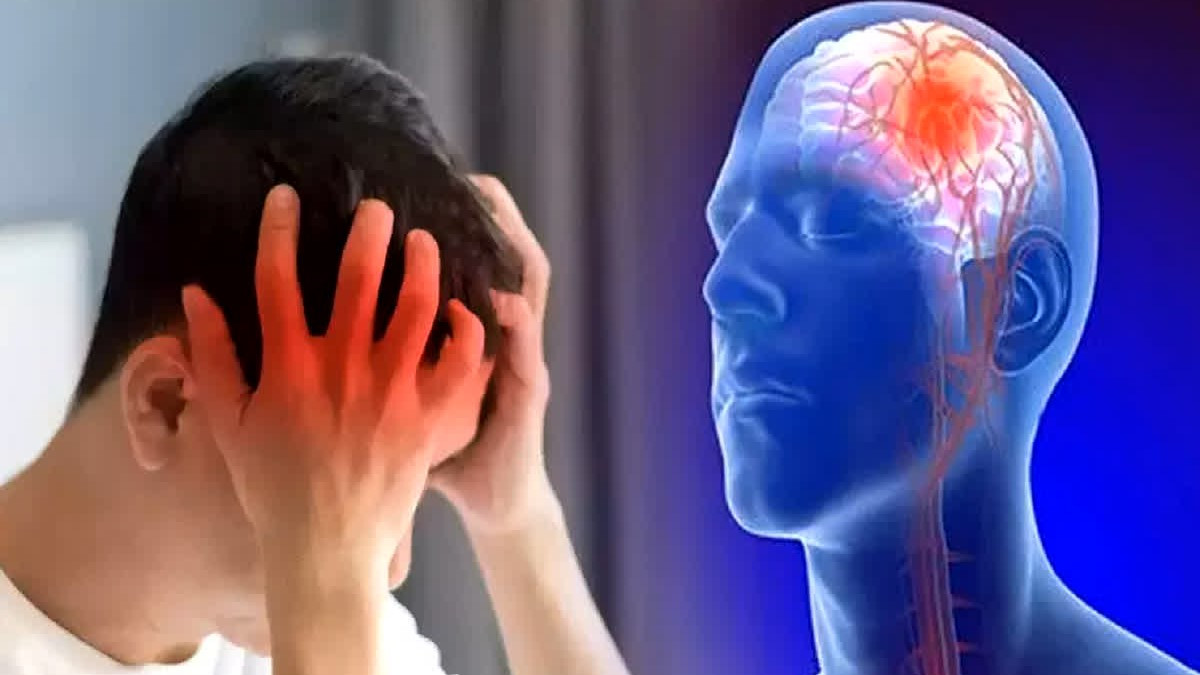 brain.jpg