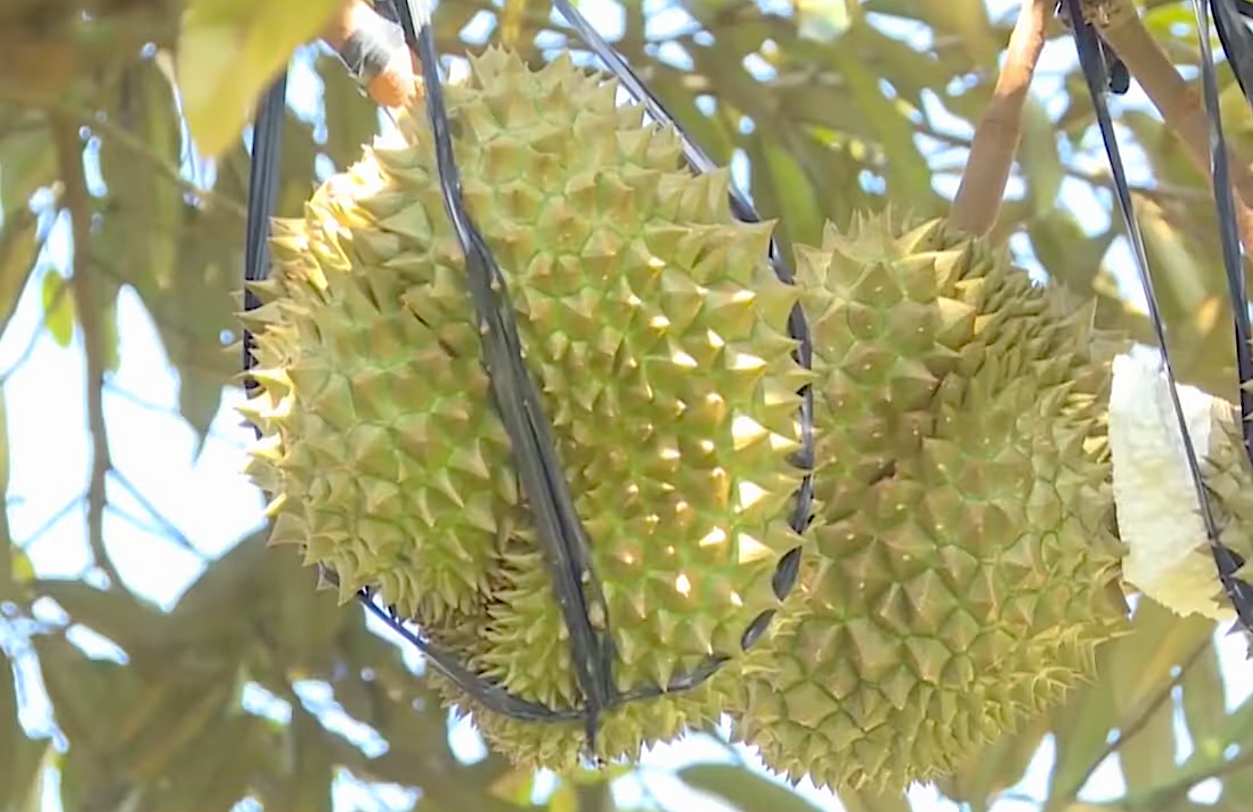 Gỡ khó khăn trong hành trình xây dựng nông thôn mới