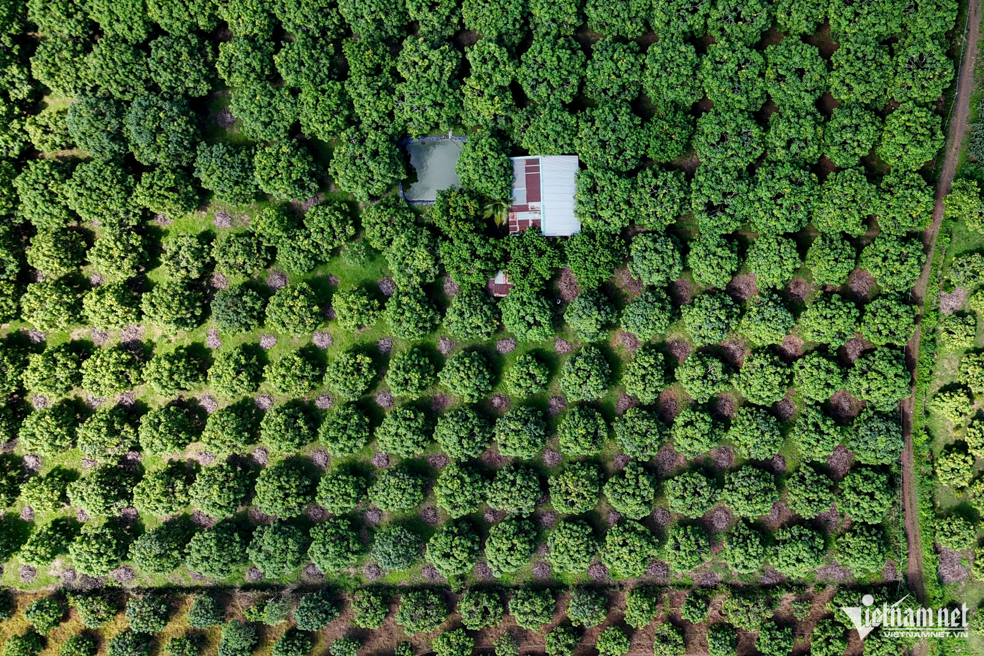 W-Đồng Nai Nguyễn Huế 2.jpg