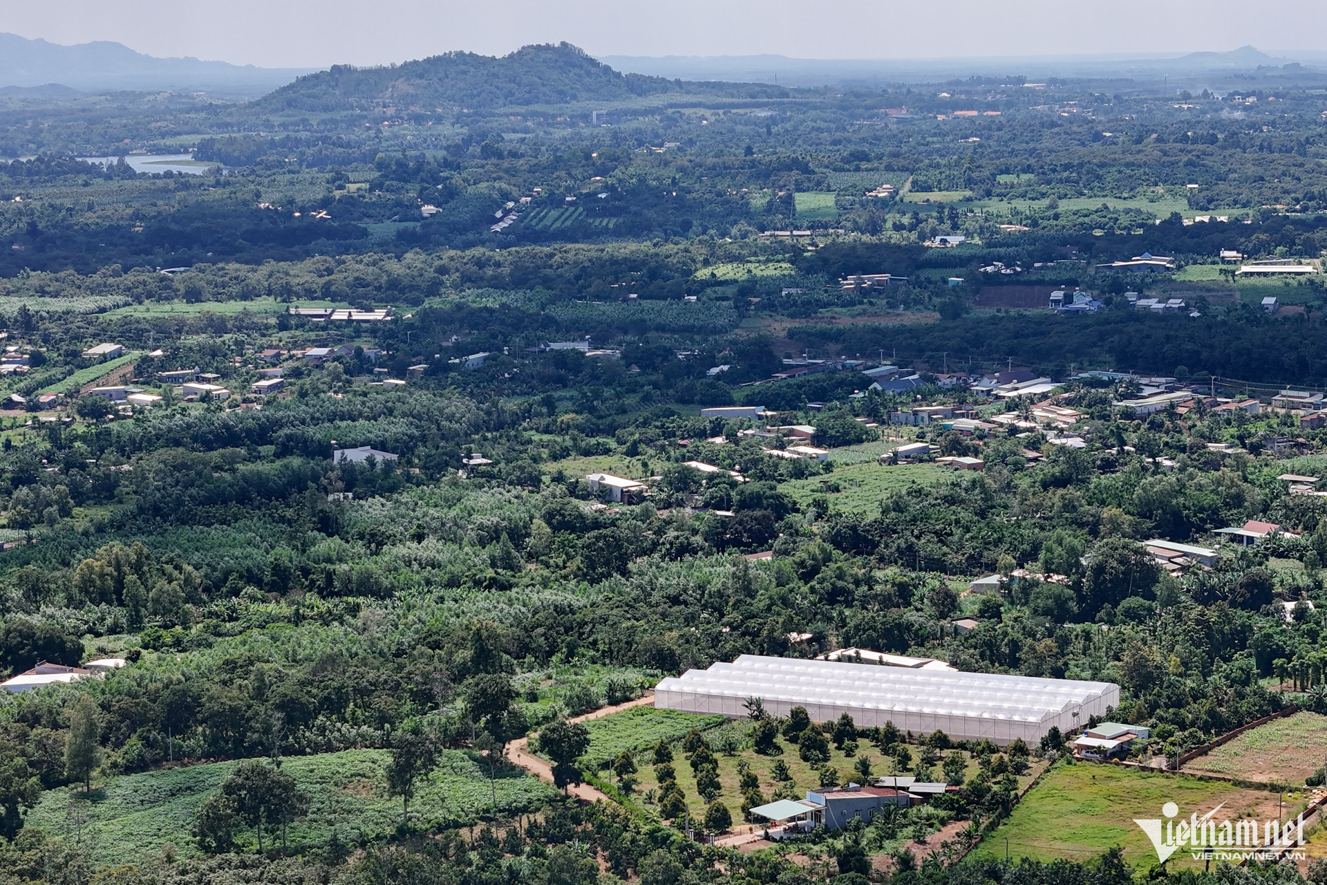 W-Đồng Nai Nguyễn Huế.jpg