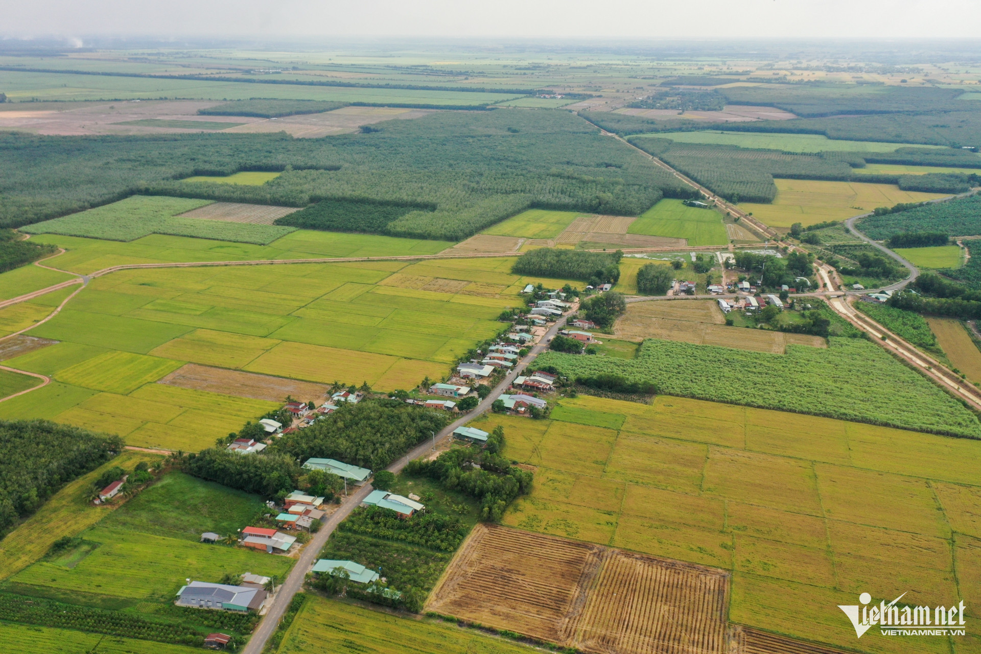 W-Tây Ninh Nguyễn Huế 5.jpg