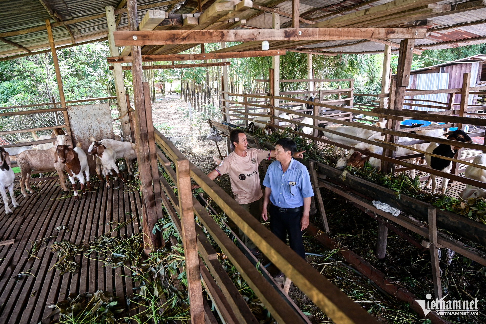 W-Tây Ninh Nguyễn Huế 6.jpg