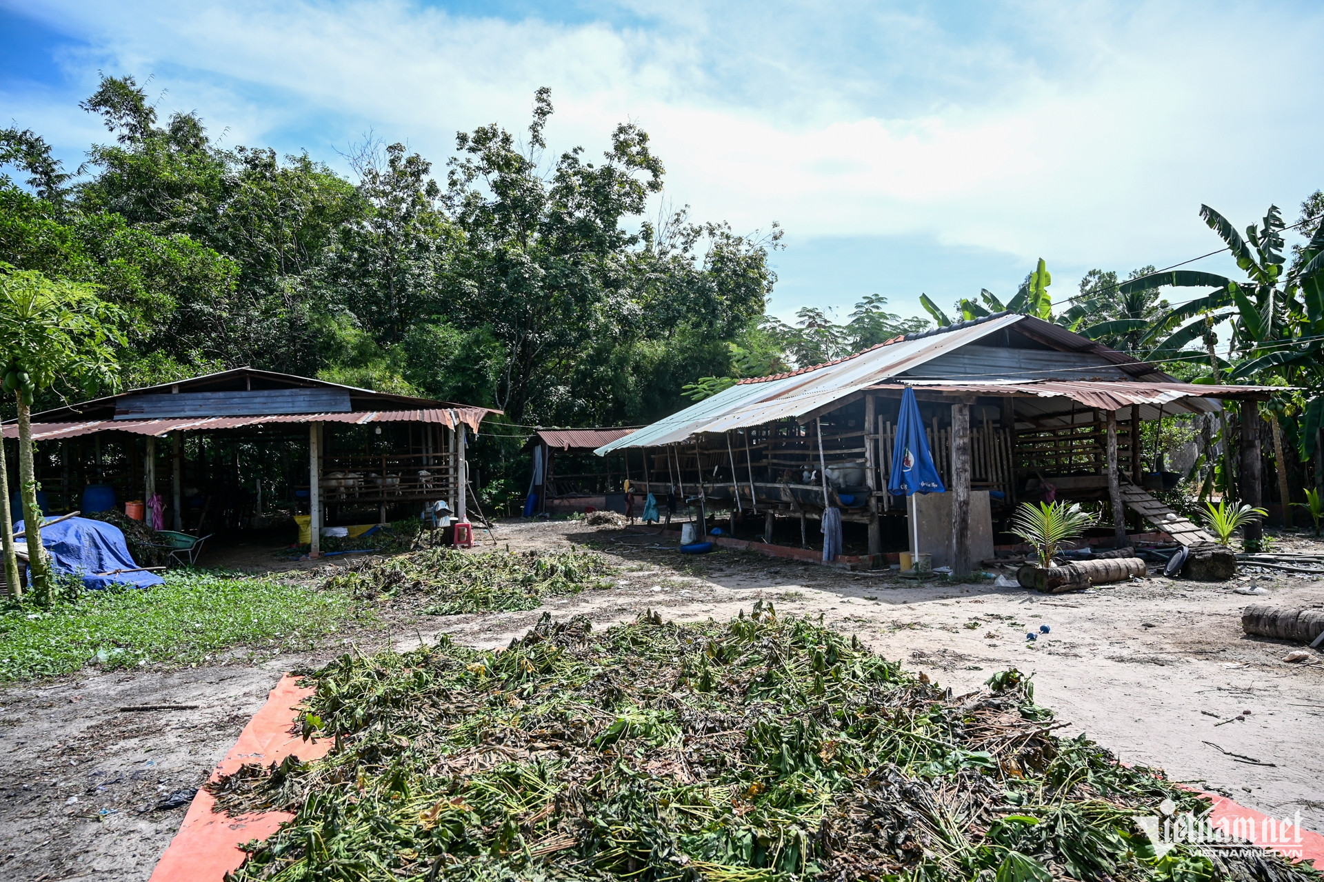 W-Tây Ninh Nguyễn Huế 8.jpg