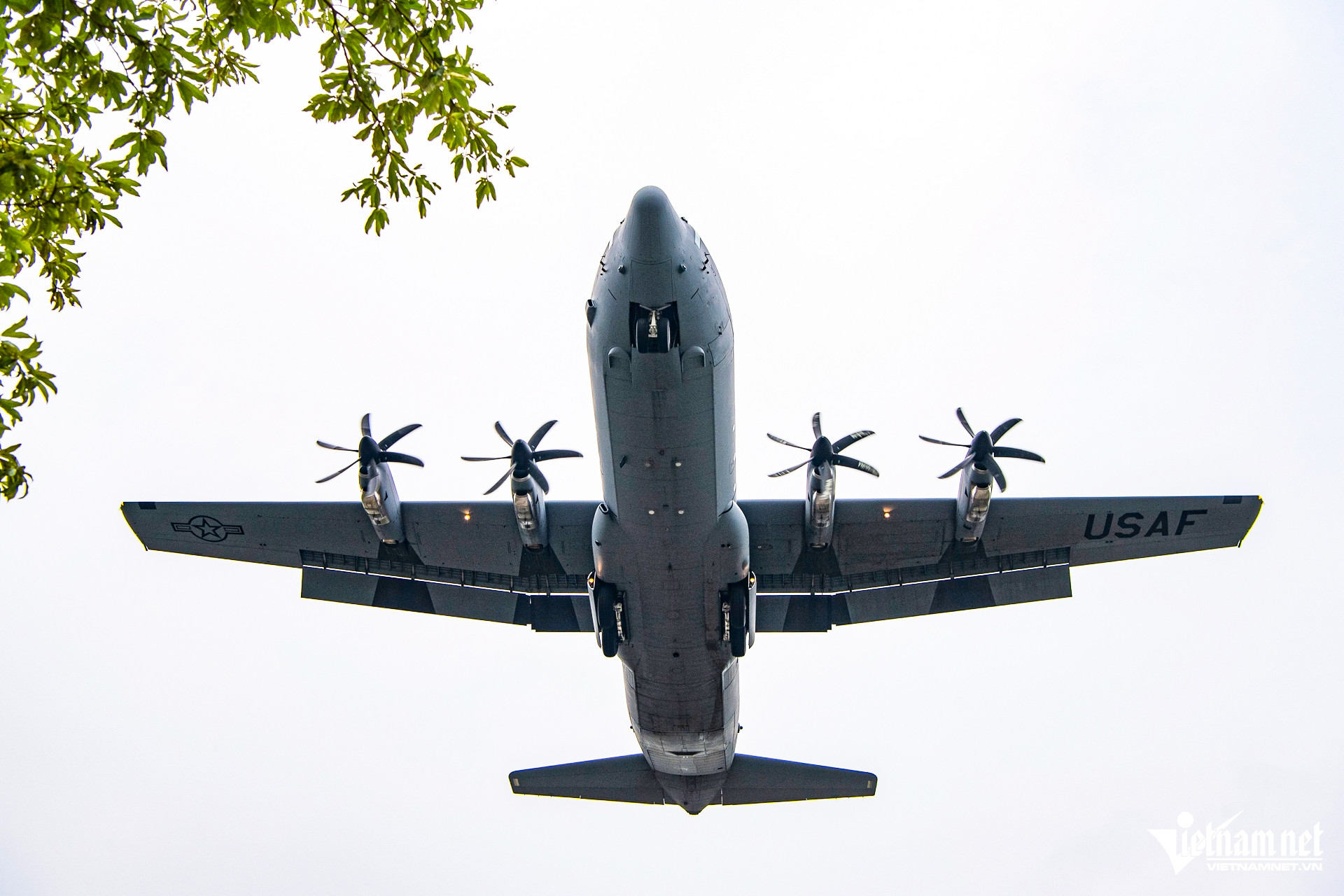 c130 3.jpg