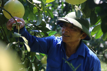 Truyền thông góp phần giảm nghèo thông tin ở Chu Hoá
