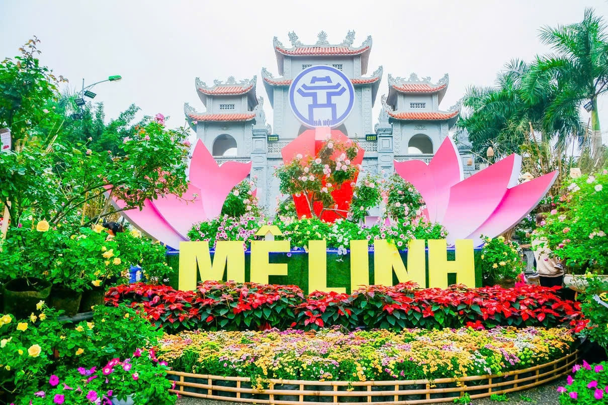 Festival hoa Mê Linh lần thứ 2 diễn ra trong 4 ngày