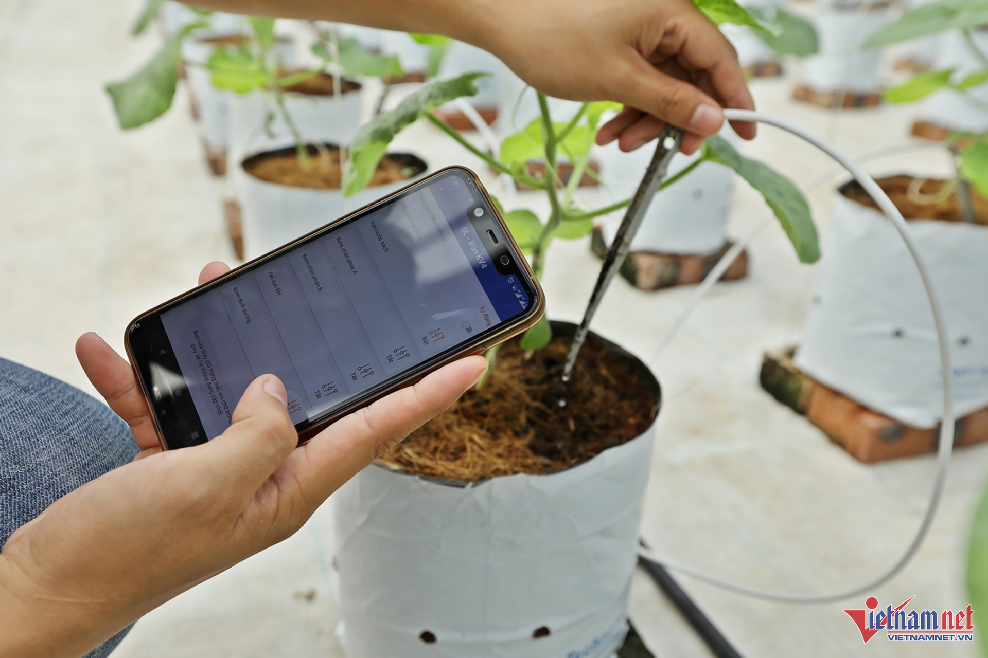 W-Giải pháp Nông nghiệp thông minh 01.jpg