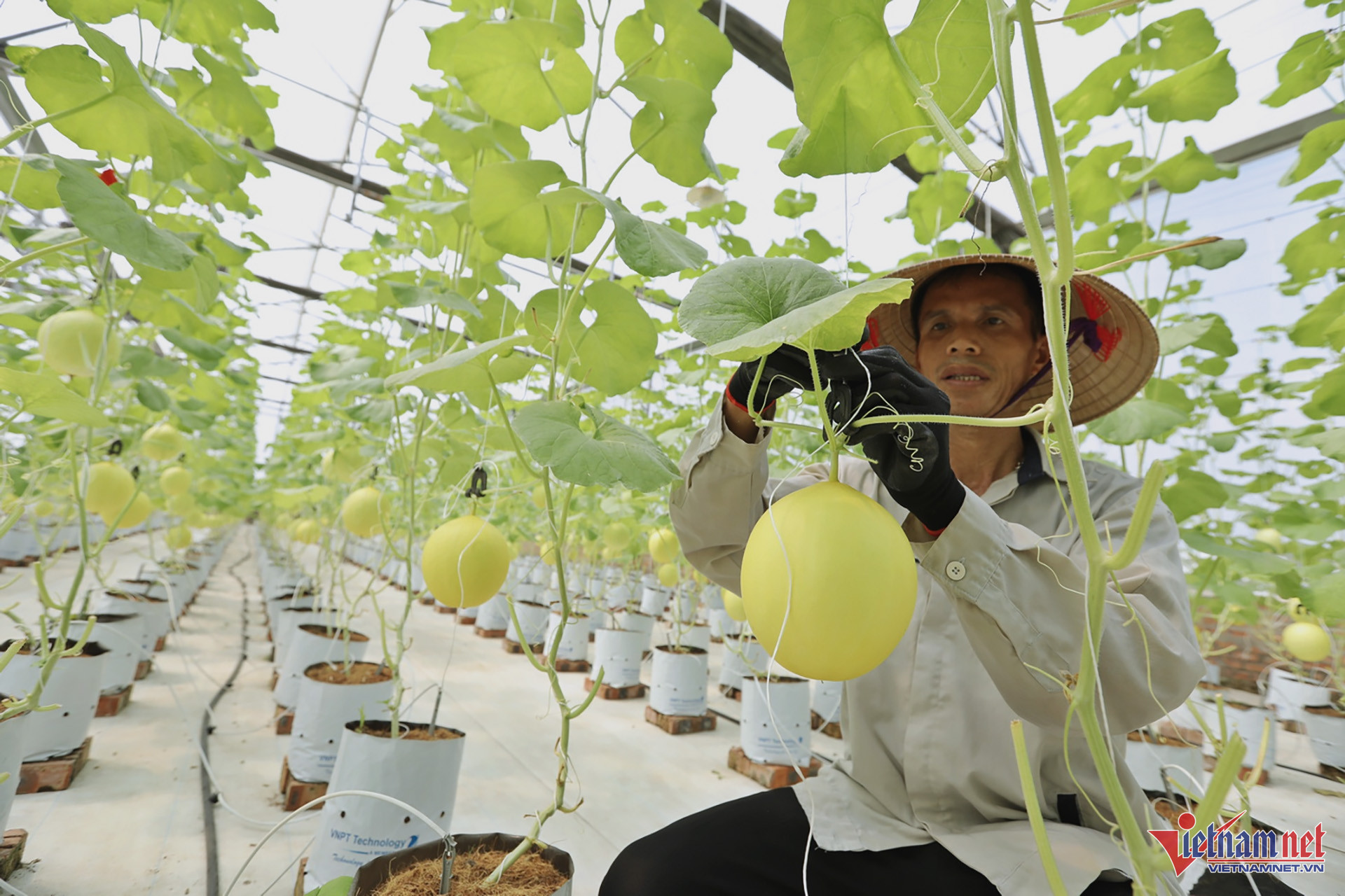 W-Giải pháp Nông nghiệp thông minh 04.jpg