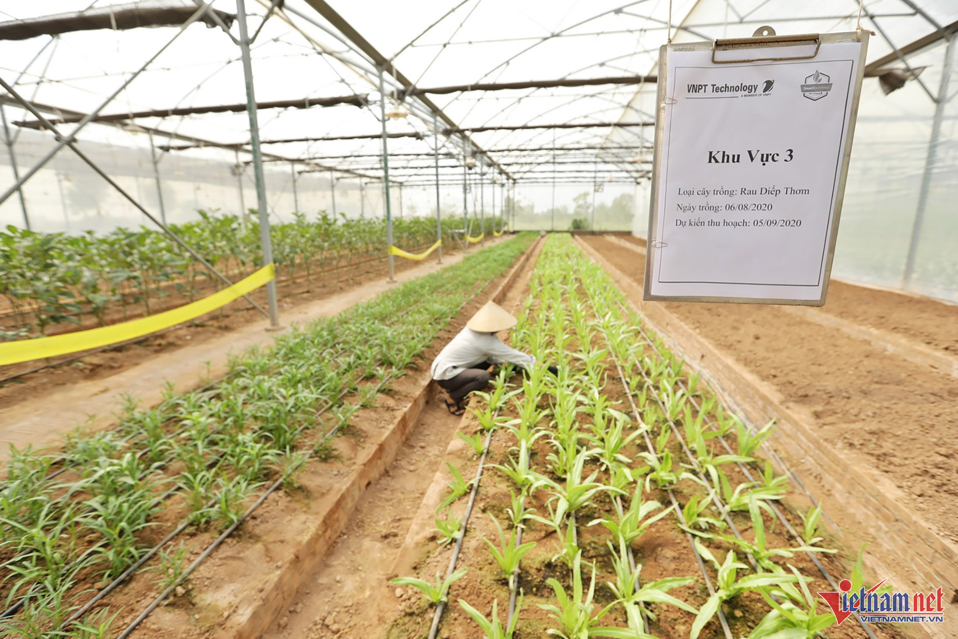 W-Giải pháp Nông nghiệp thông minh 05.jpg