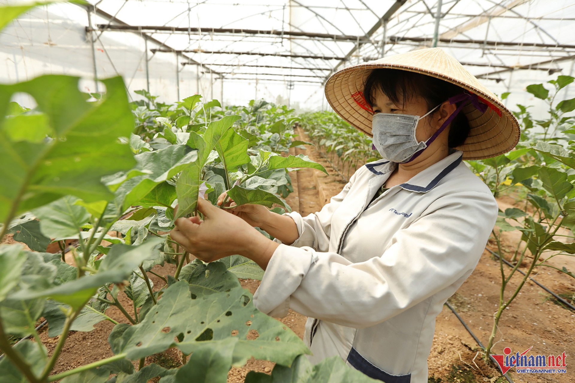 W-Giải pháp Nông nghiệp thông minh 06.jpg