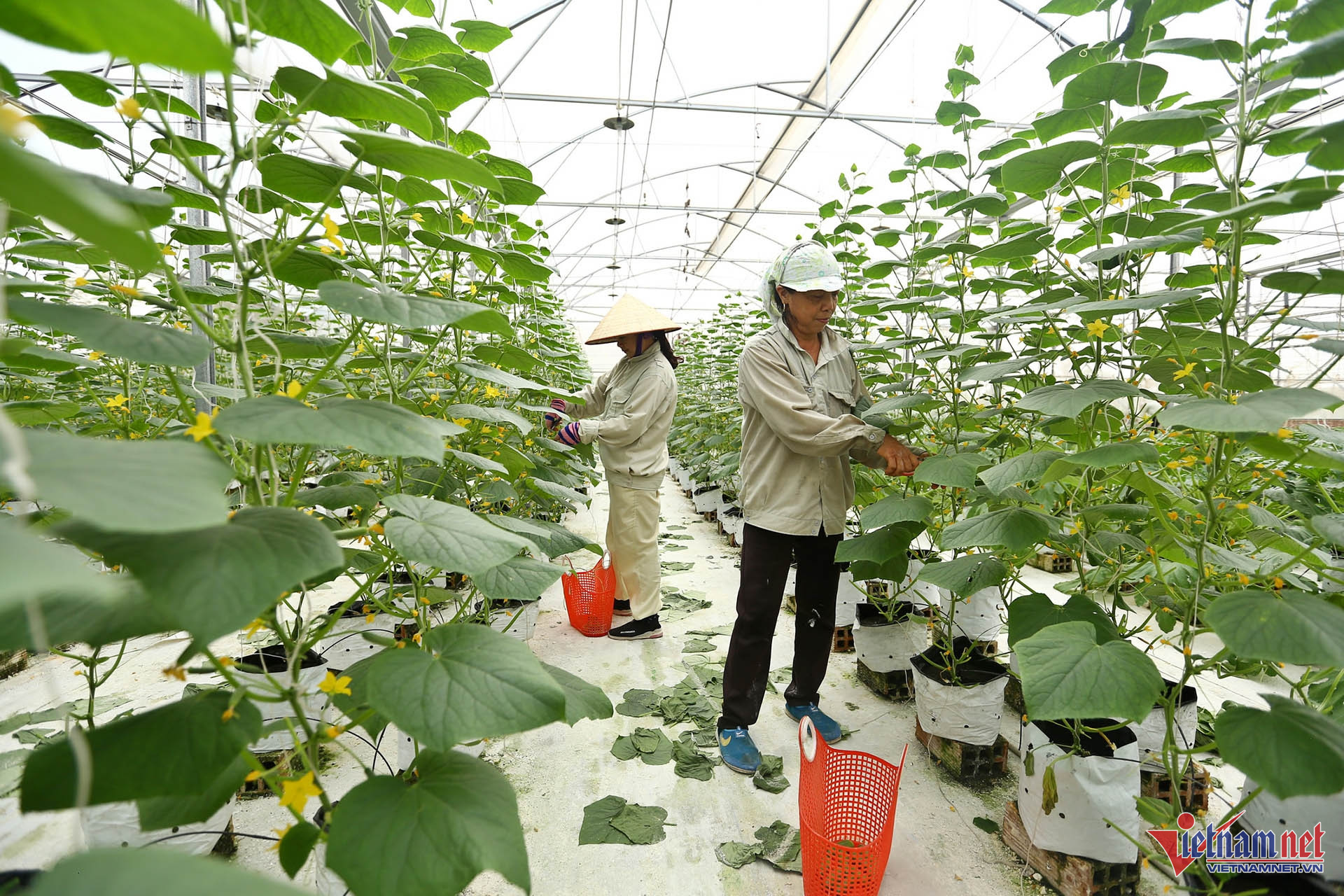 W-Mô hình trang trại thông minh – 04.jpg