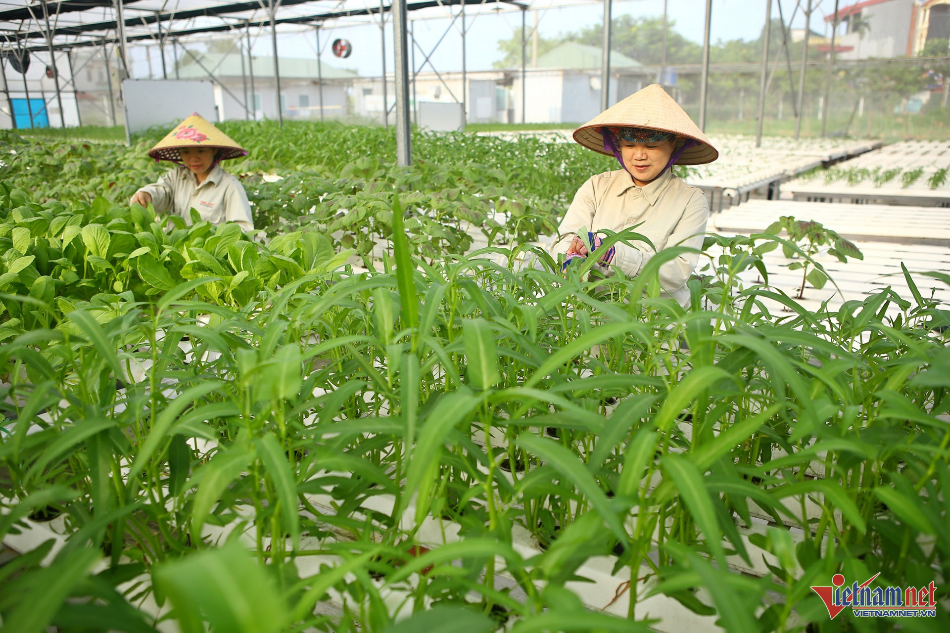 W-Mô hình trang trại thông minh – 05.jpg