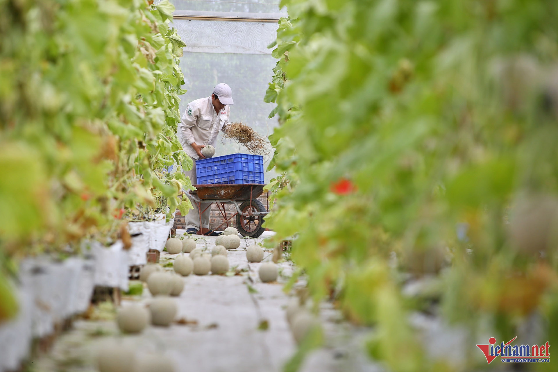 W-Mô hình trang trại thông minh – 08.jpg