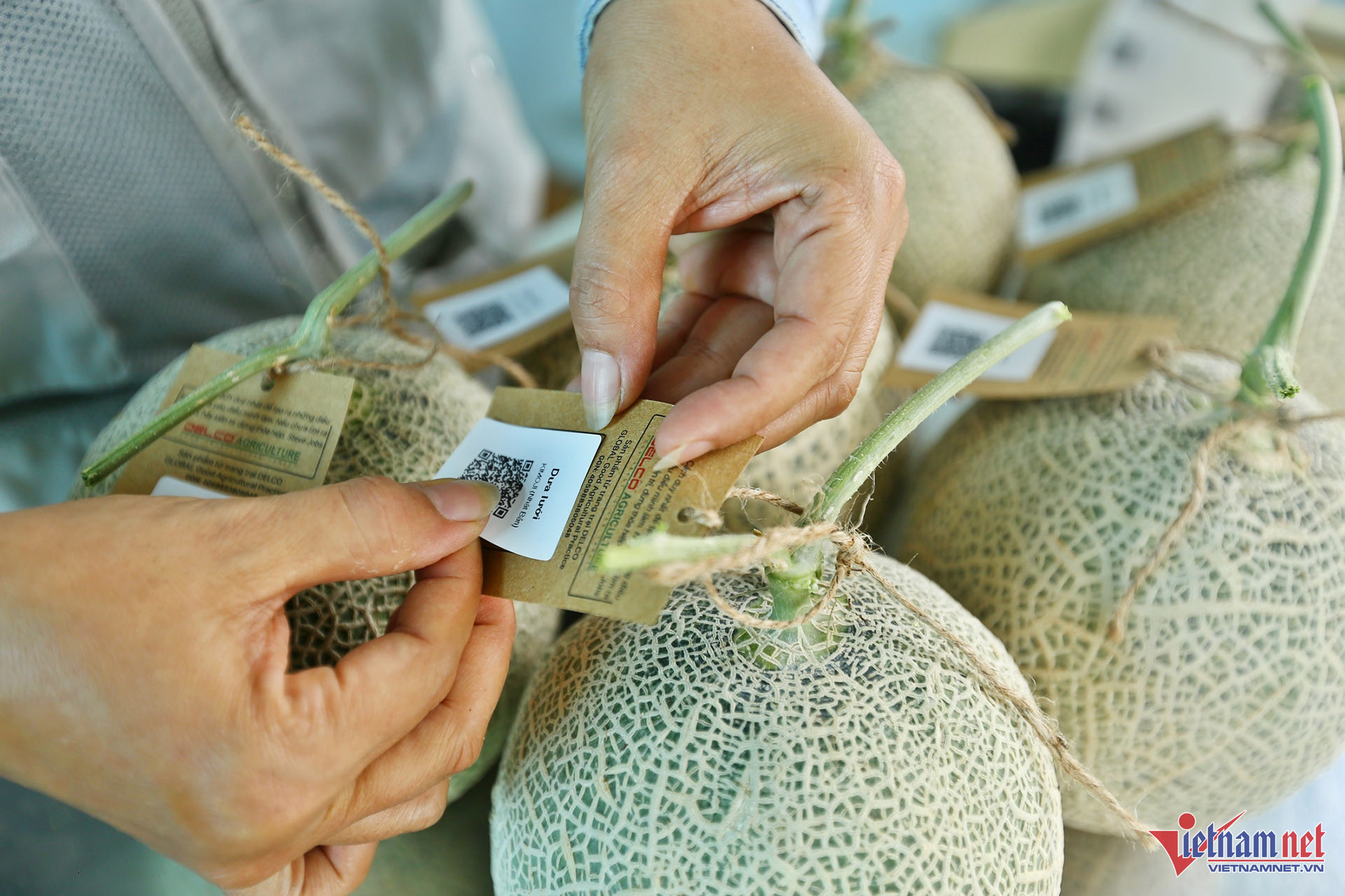 W-Mô hình trang trại thông minh – 12.jpg