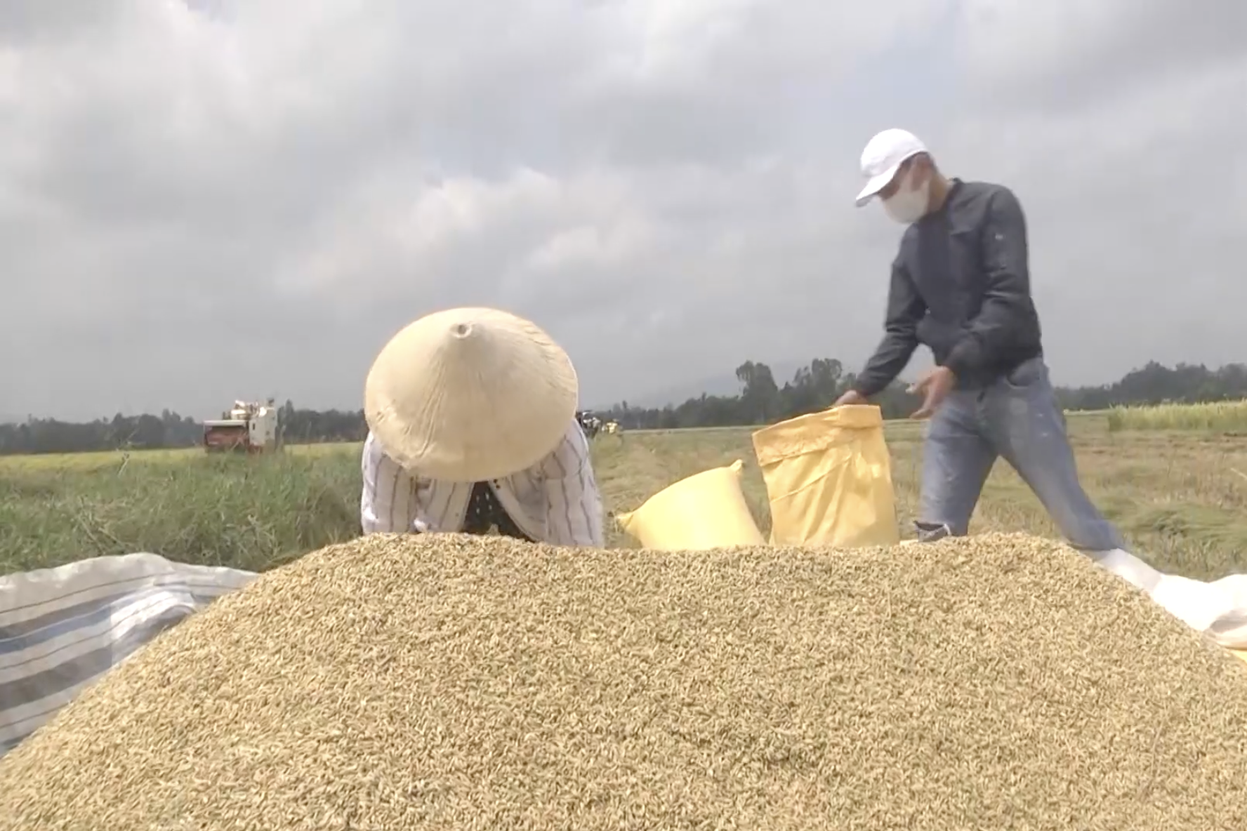 Đa dạng hóa sinh kế, lan toả các mô hình giảm nghèo