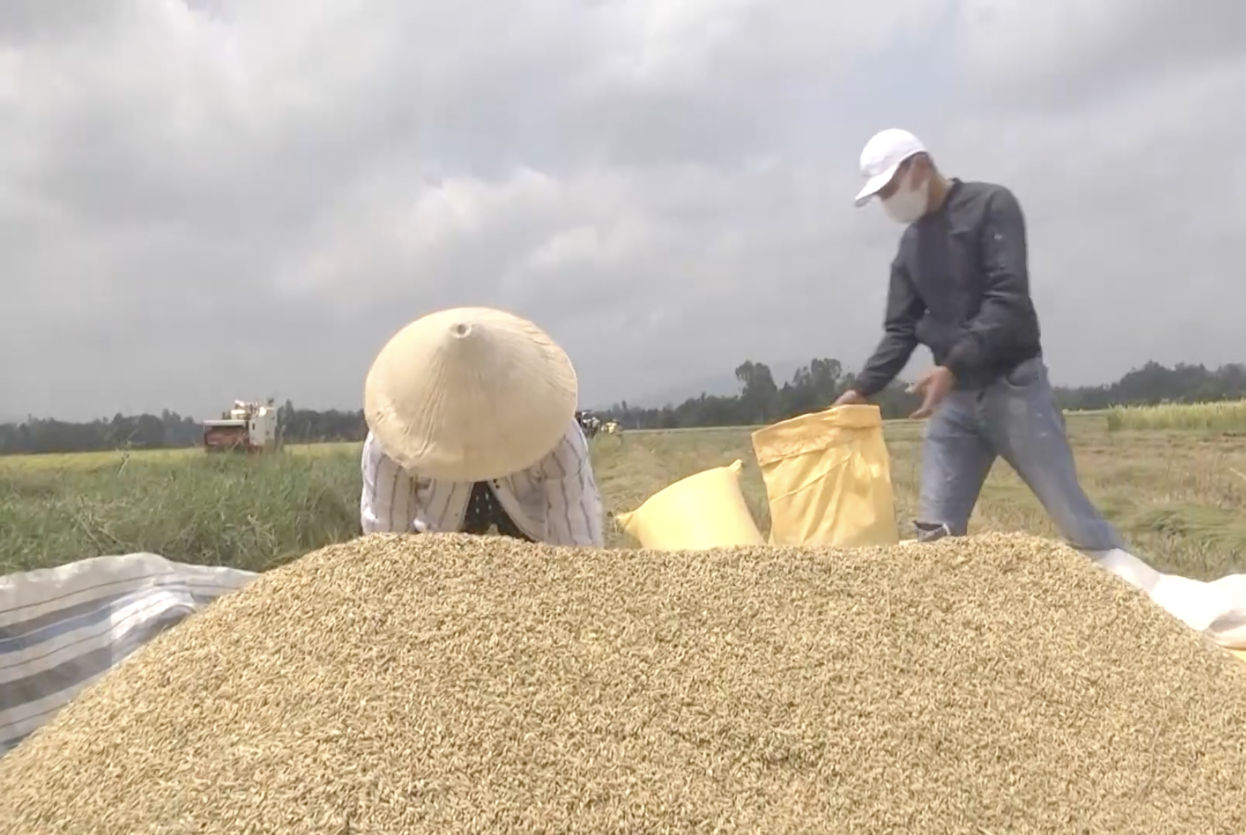 Đầu tư phát triển hạ tầng KT-XH các huyện nghèo, các xã đặc biệt khó khăn