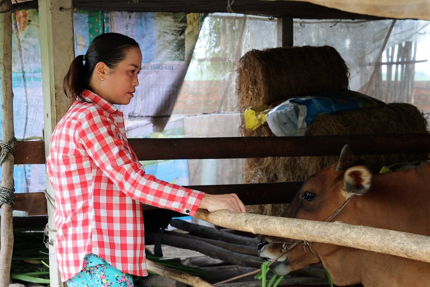 Những sắc màu mới tại vùng đồng bào dân tộc Thái tại Tây Ninh