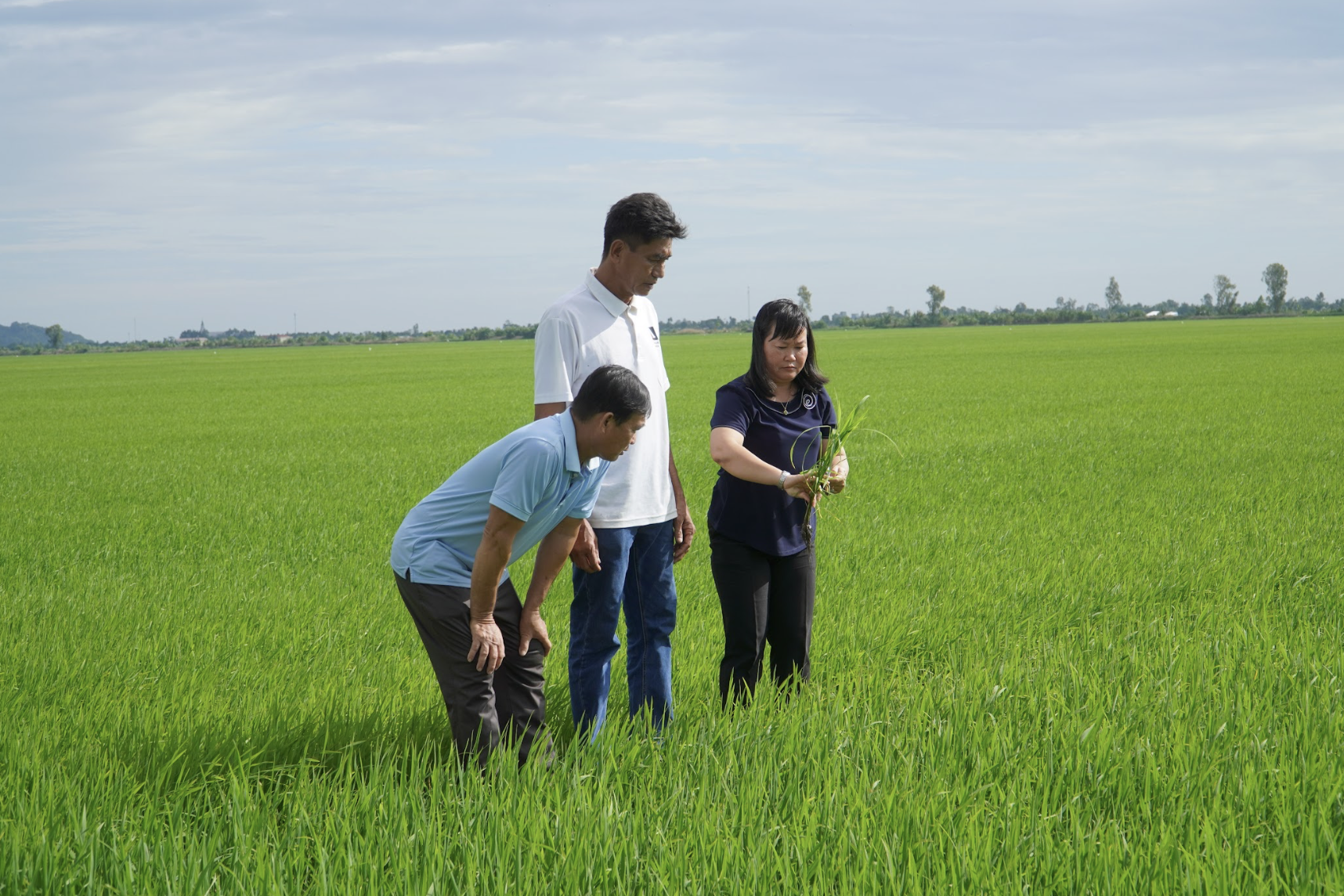 291.000 nông dân dùng dữ liệu bản tin thời tiết nông vụ, lợi nhuận tăng cao