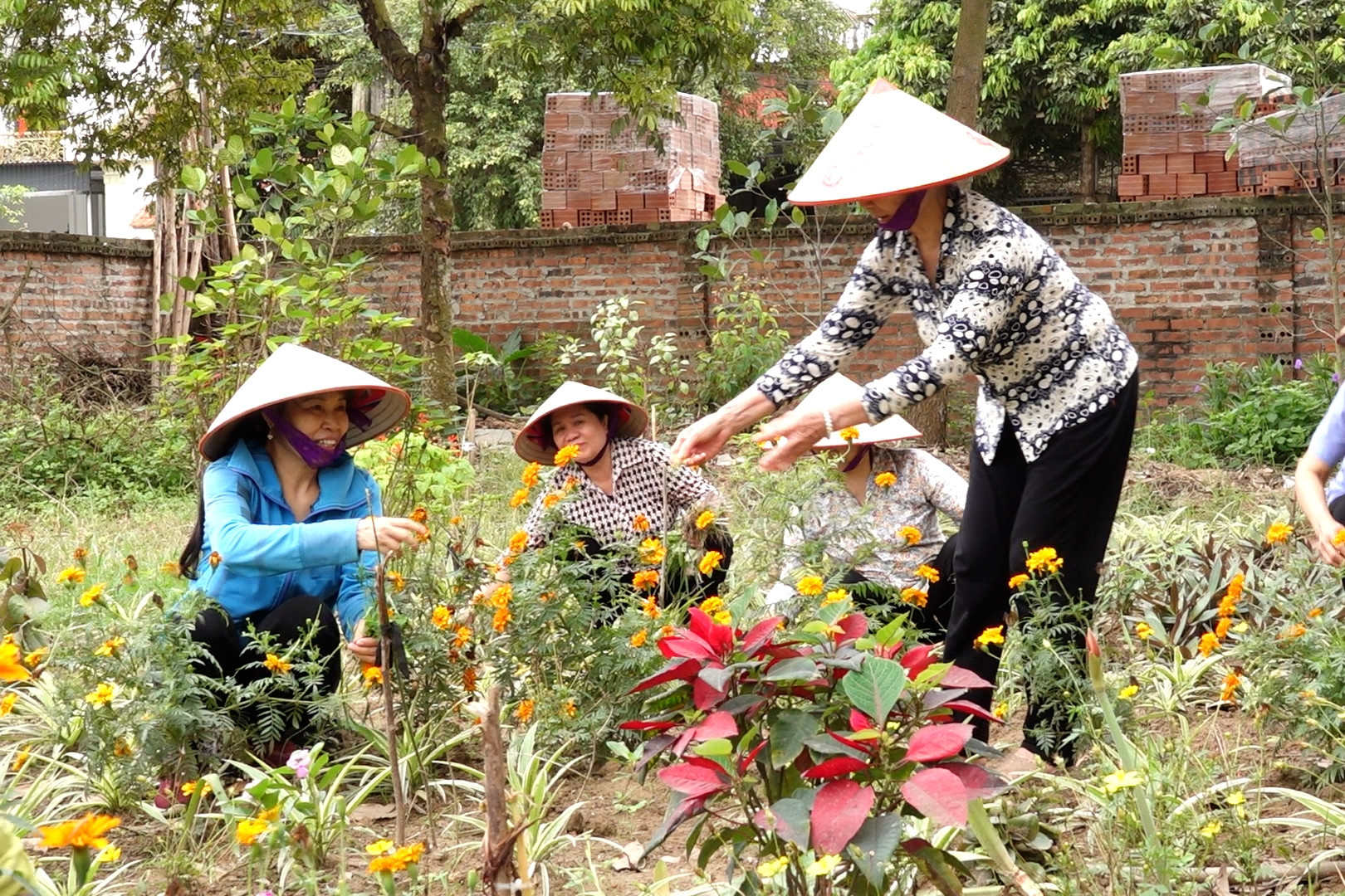 Bình Dân ‘thay áo mới’ nhờ cán đích NTM nâng cao