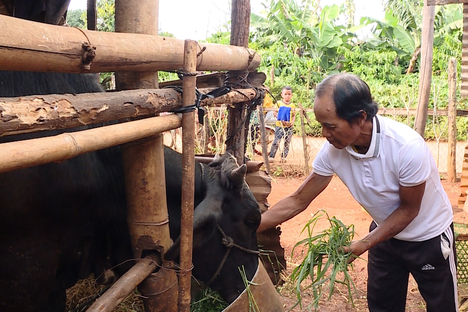 Gia Lai: Trao ‘cần câu’ giúp đồng bào DTTS thoát nghèo