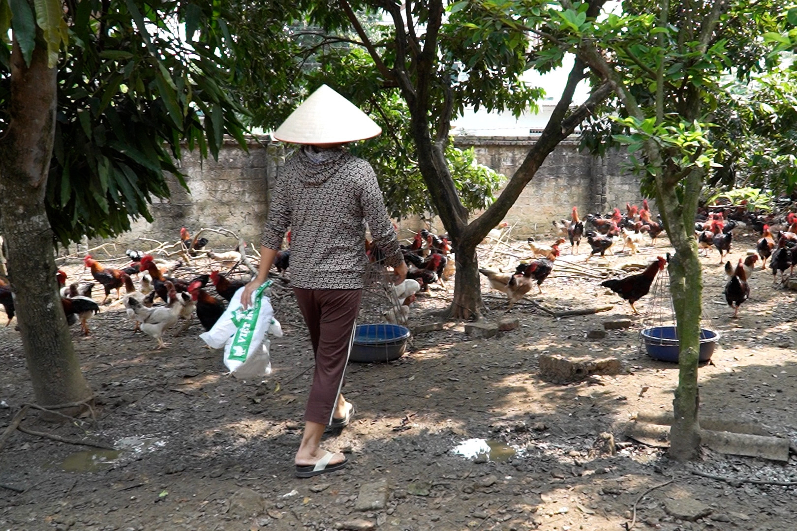 Tổ liên kết – cầu nối, điểm tựa cho chị em phụ nữ DTTS làm kinh tế