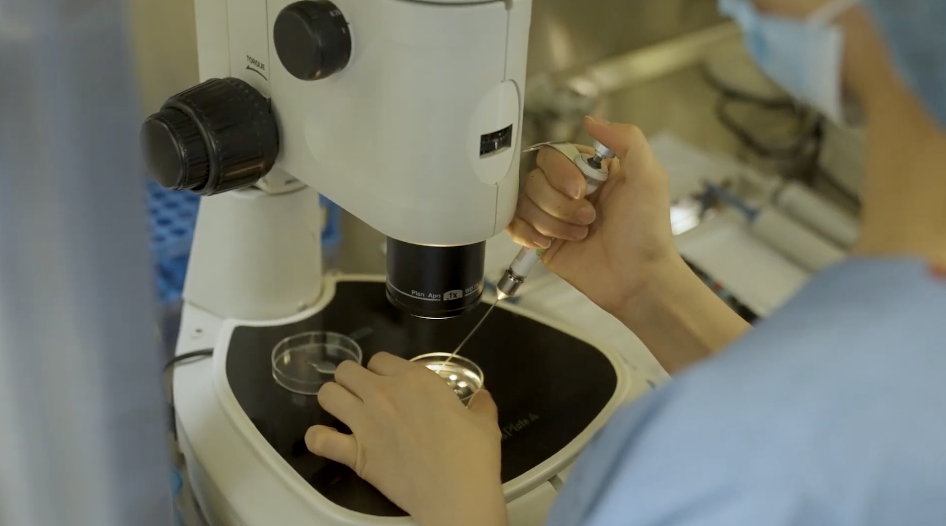 vo sinh hiem muon tinh trung