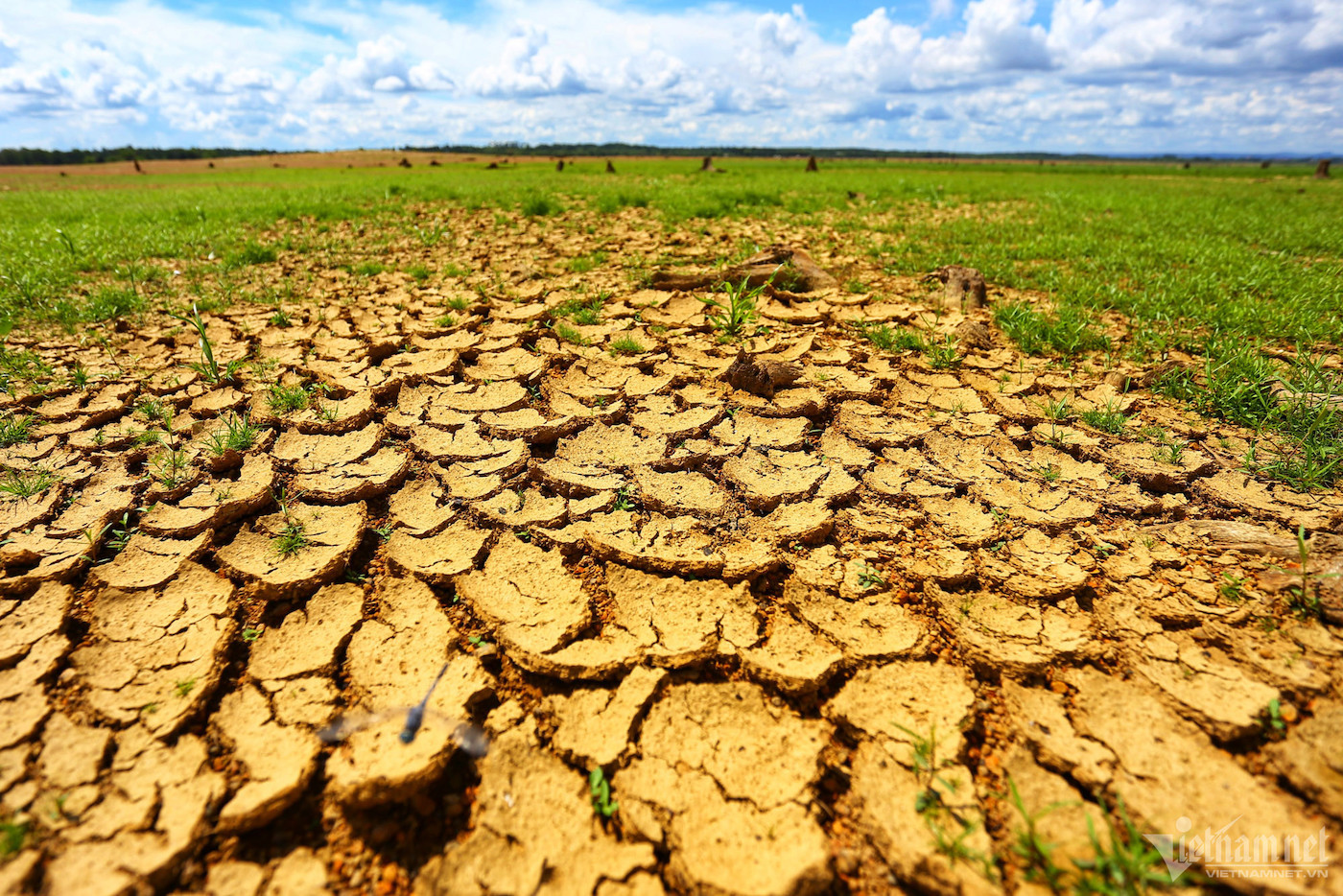 w ho tri an 14 1 876.jpg