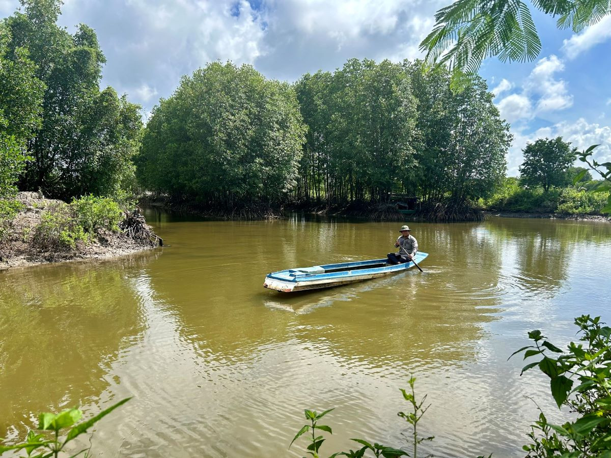 57 rừng ngập mặn.jpg