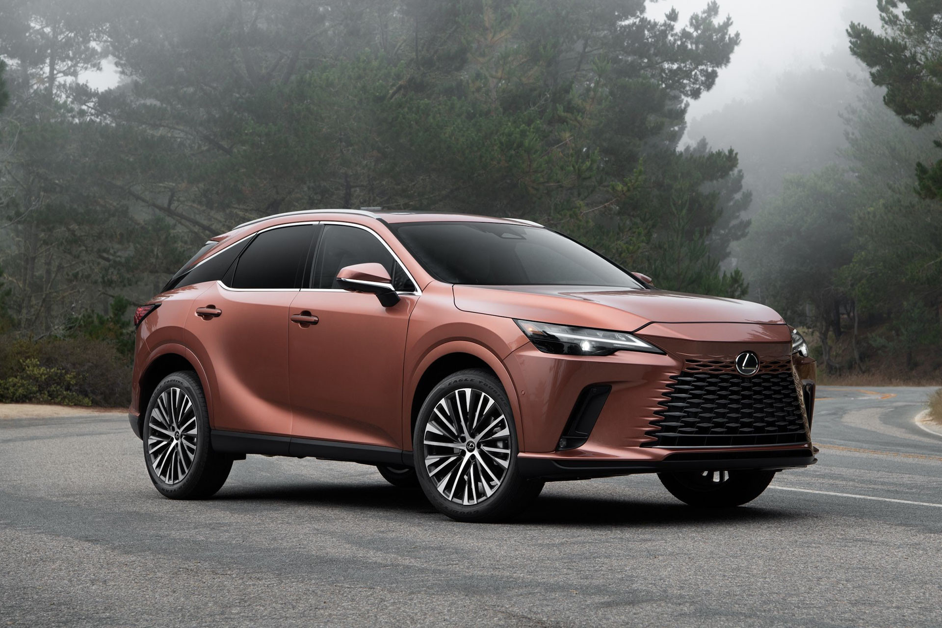 2025 lexus rx350 premium 101 66f2dbe526c80.jpg