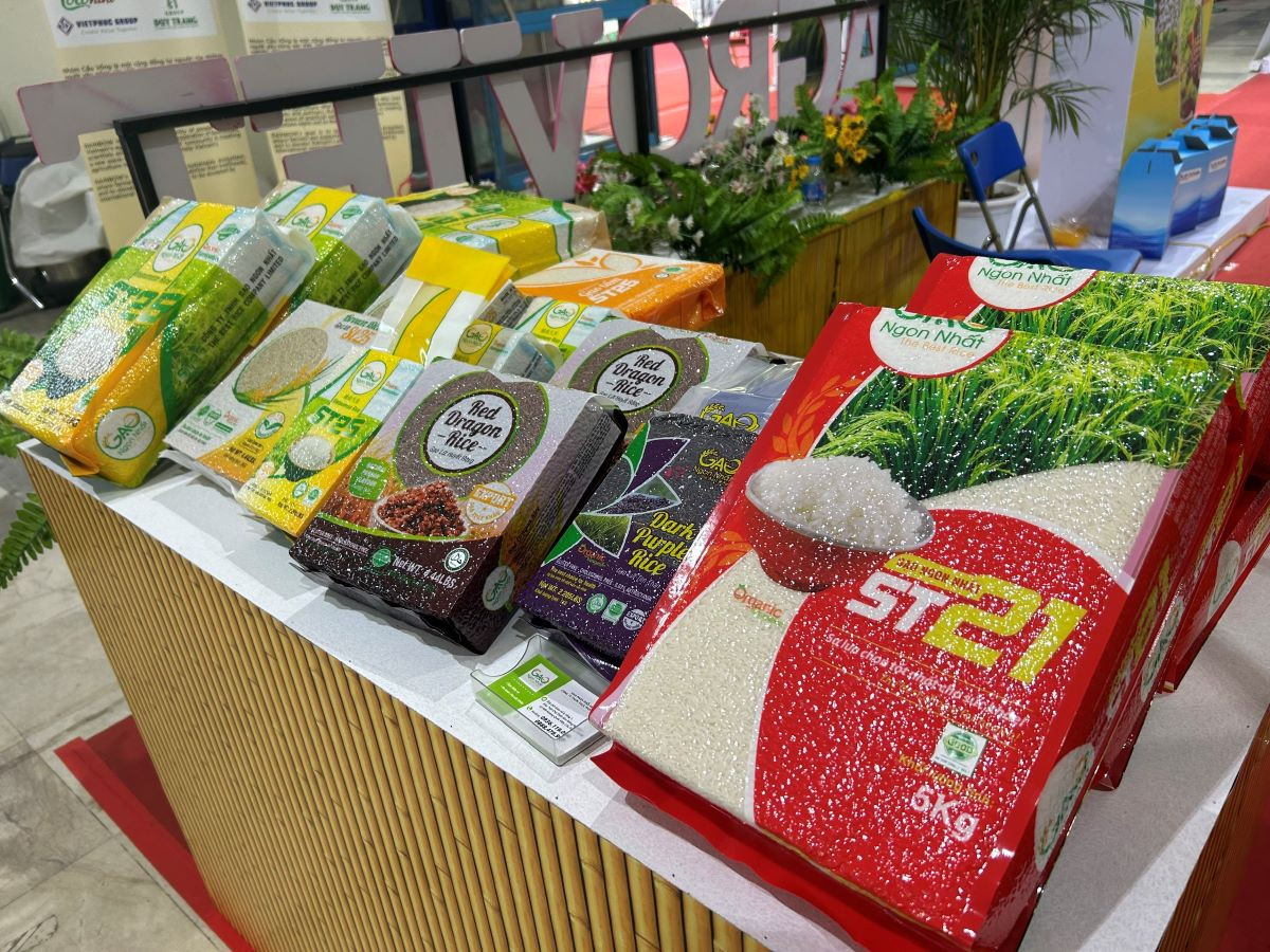 tin 43 bao bì nhựa.jpg