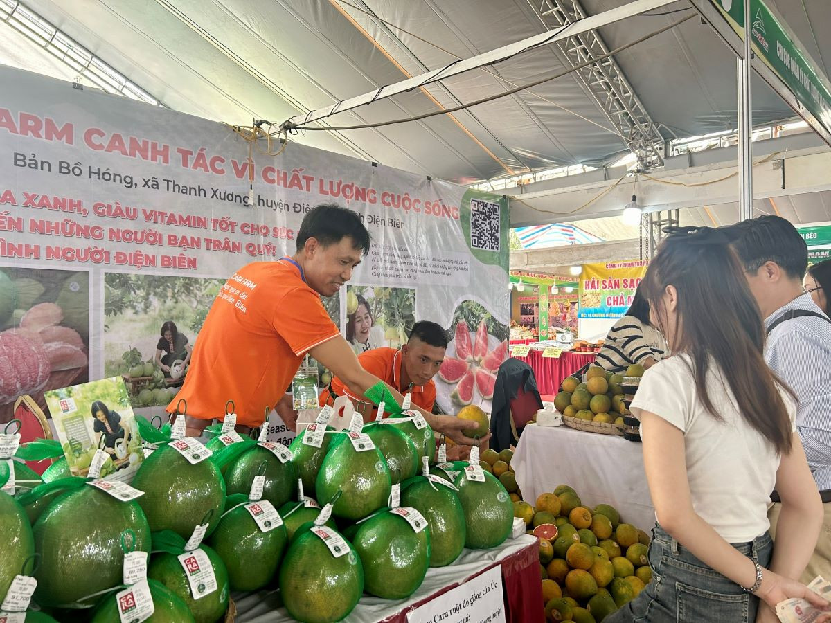 tin 44 chỉ thị tăng trưởng Xanh.jpg