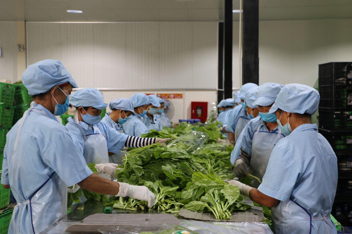 tin 45 vai trò của công nhân lao động.JPG