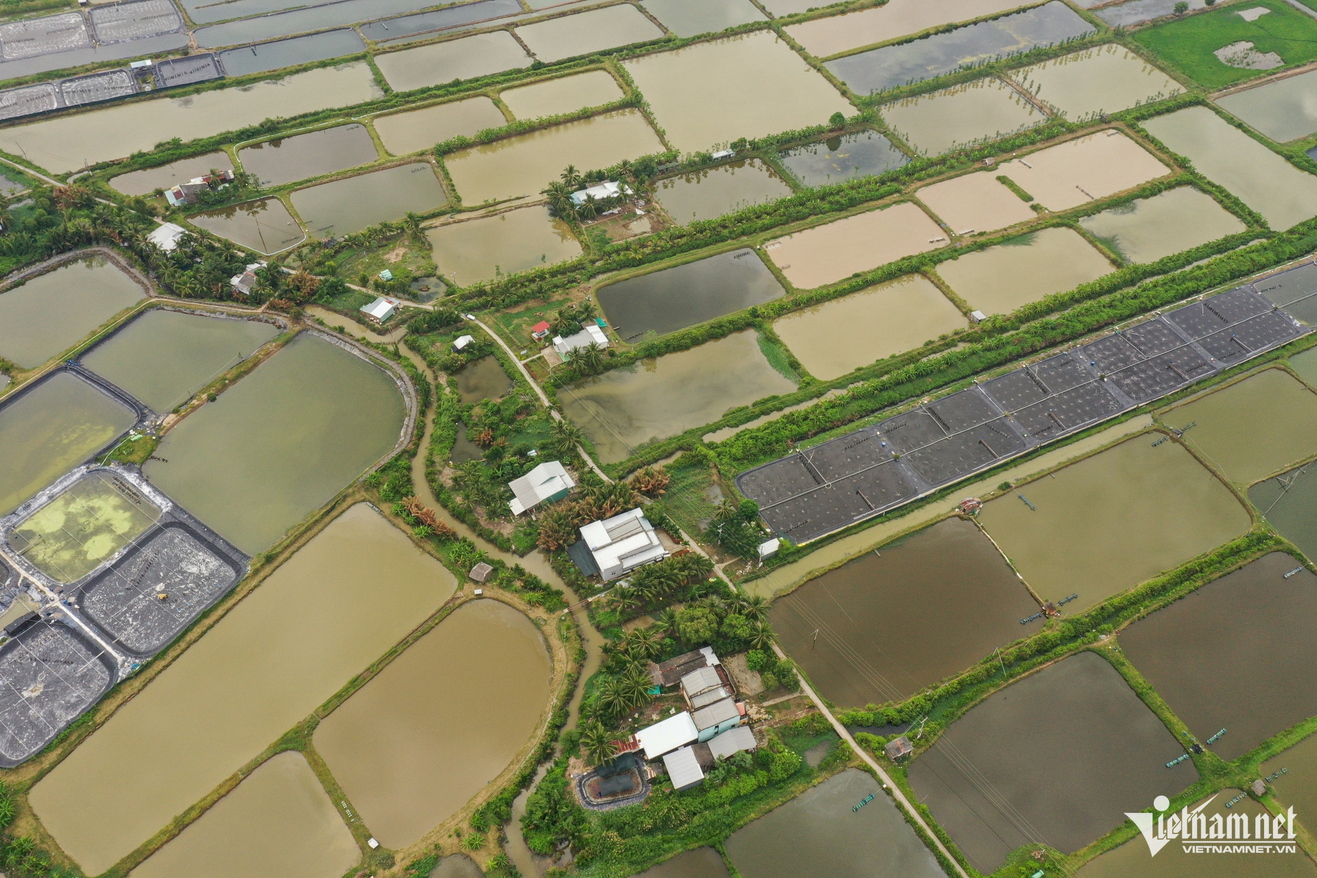 W-bán hàng online 10.jpg