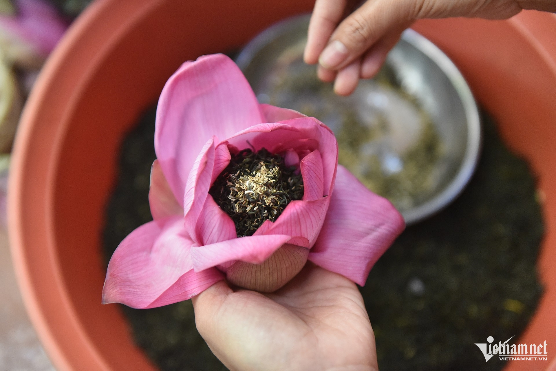 W-Hà Nội xây dựng tour, tuyến du lịch mới gắn với sản phẩm từ sen
.jpg