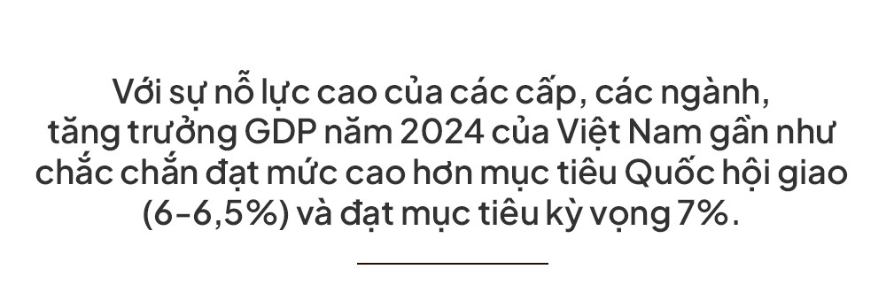 Sapo (1).jpg