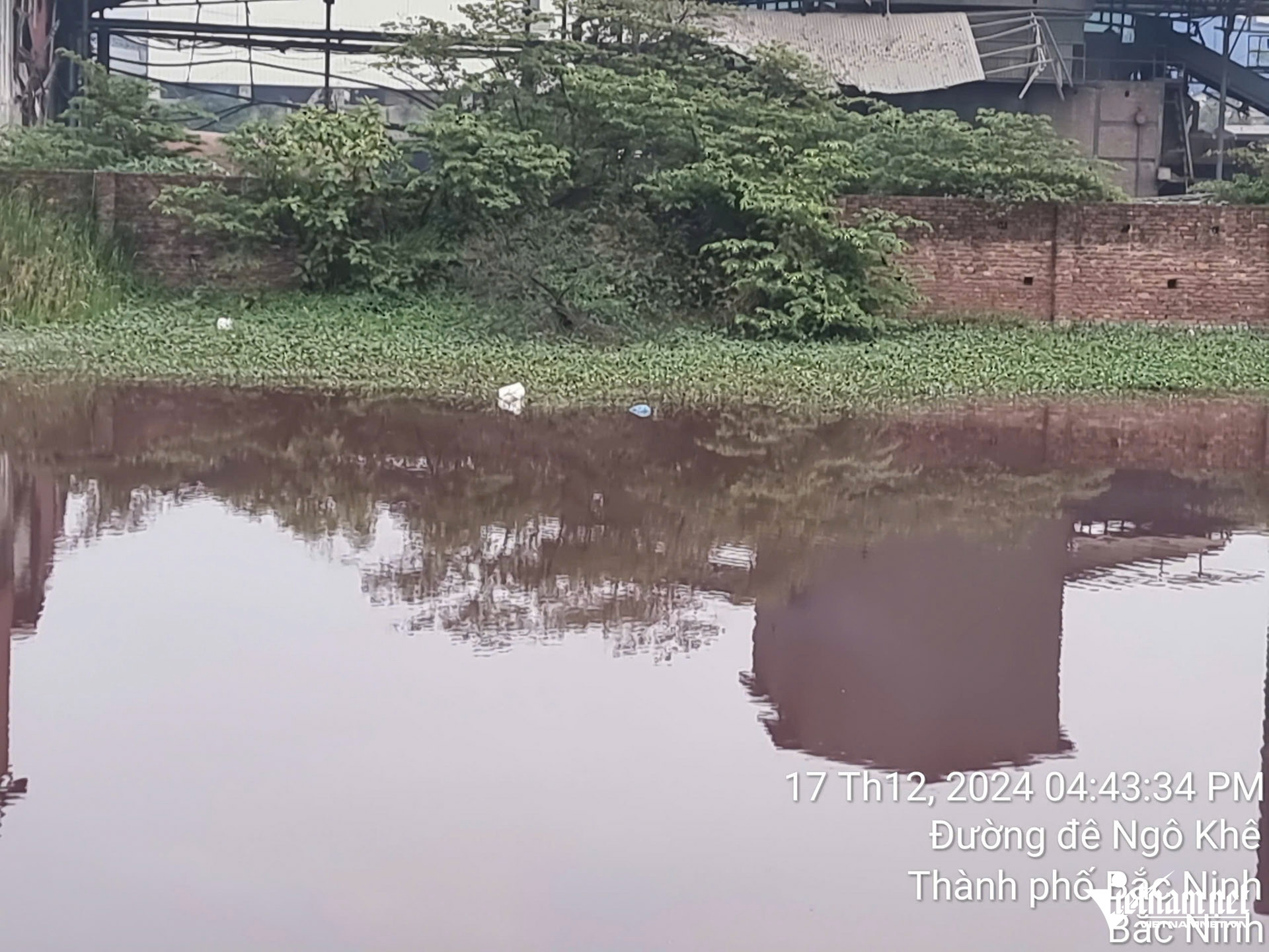 W-Trộm giấy phong khê_5.JPG.jpg