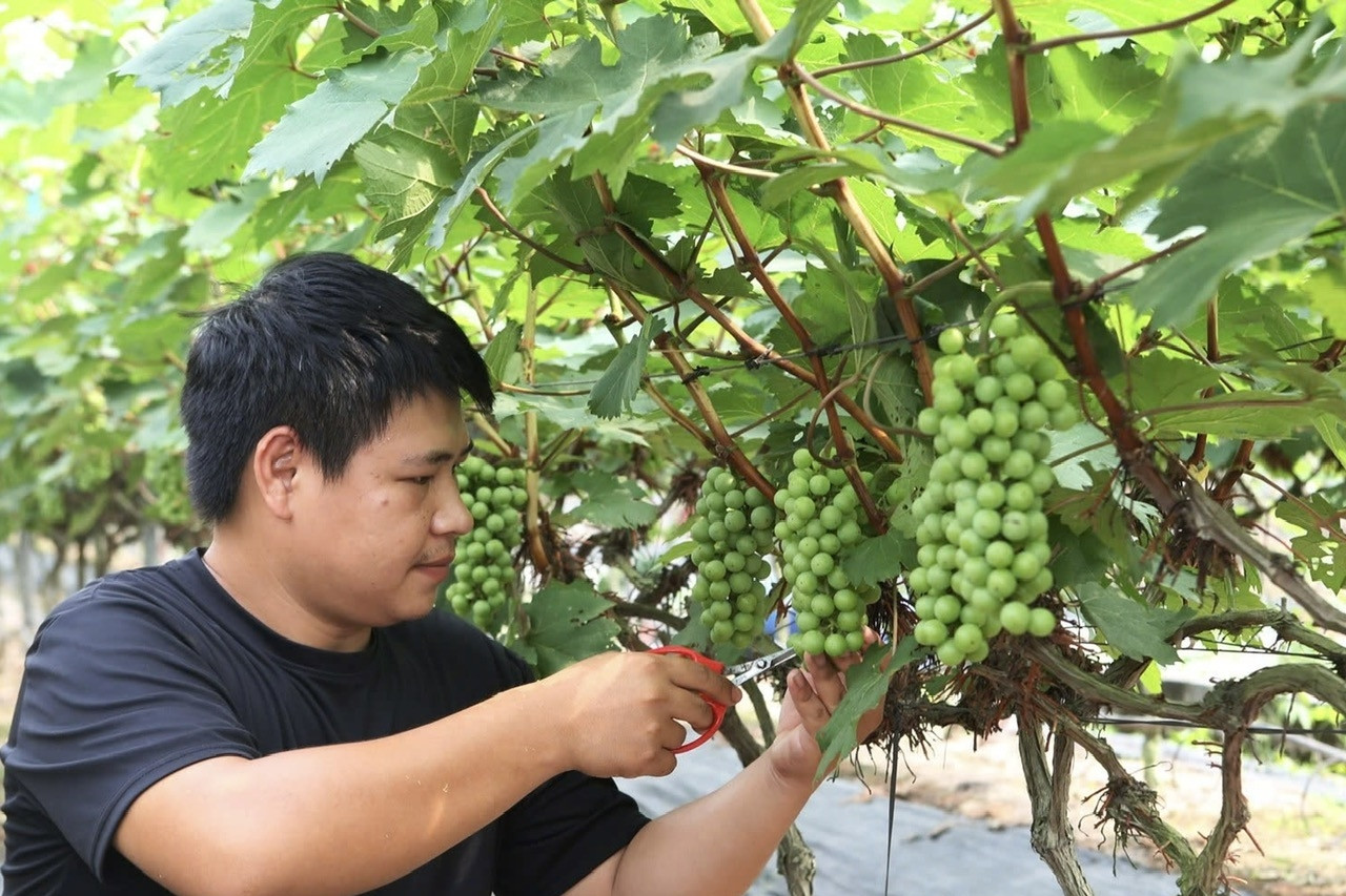 Bình Dương chuyển biến mạnh mẽ nhờ chuyển đối số phục vụ người dân, doanh nghiệp