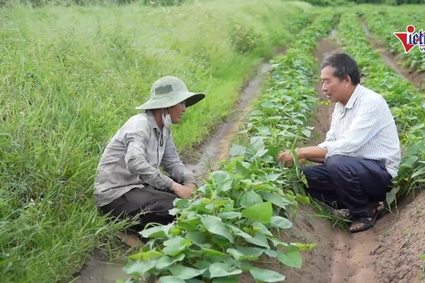 Gia Lai phát triển chuỗi liên kết,nâng cao tiềm năng sản xuất nông sản vùng DTTS