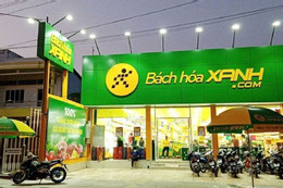 Bách Hoá Xanh nói thu hồi loại giá đỗ ngâm chất độc 'gây dị tật bẩm sinh'