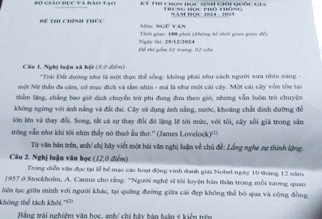 Đề thi học sinh giỏi quốc gia môn Ngữ văn gây tranh cãi vì 'khó hiểu, đánh đố'