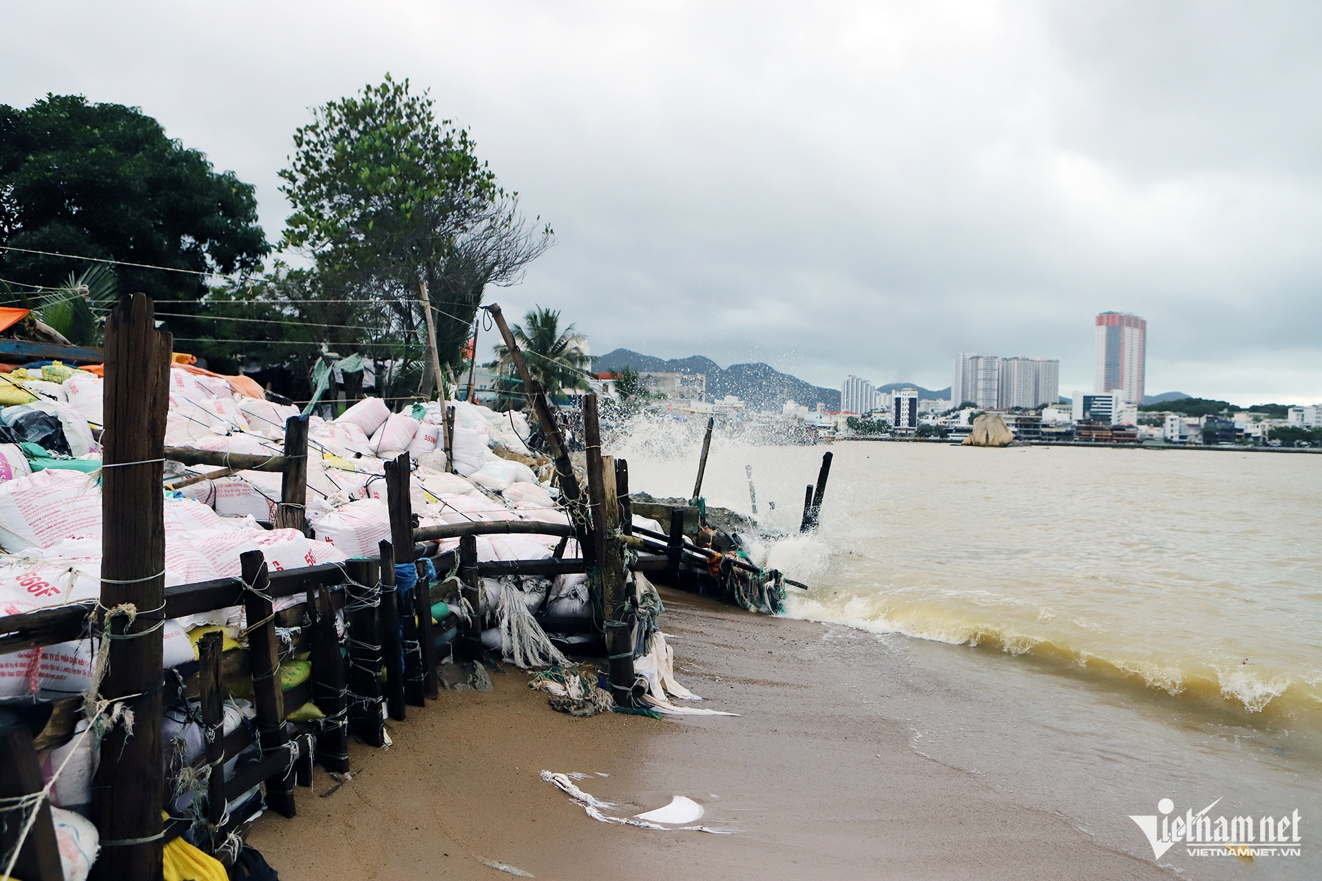 1 img 0855 122991.jpg