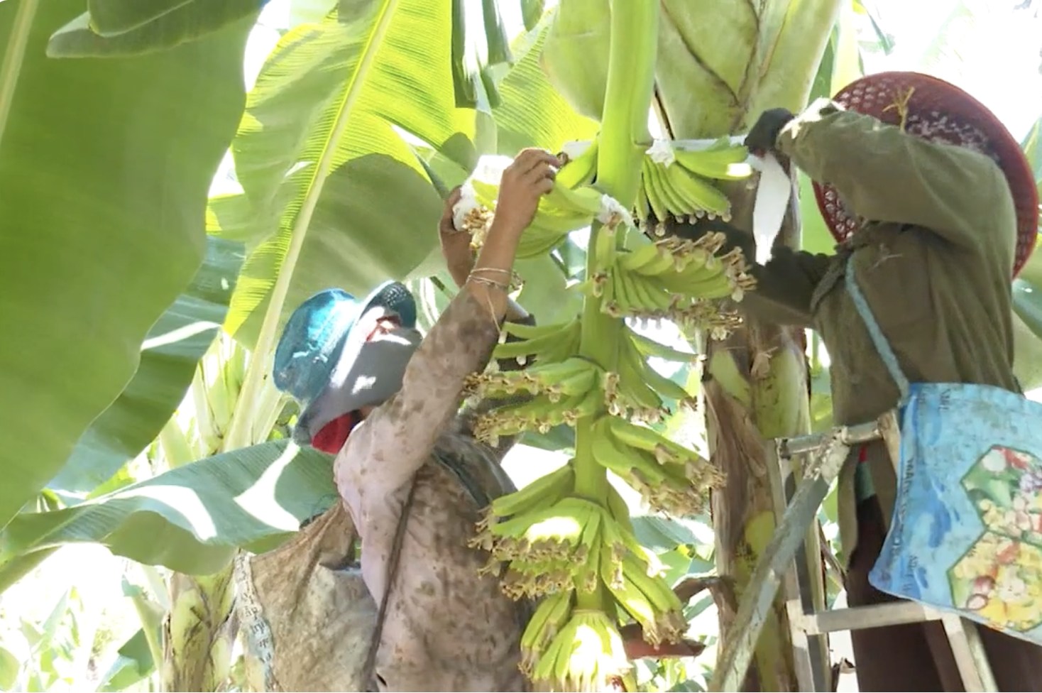 Tạo đà cho phát triển kinh tế xã hội và tăng hưởng thụ trực tiếp cho người dân.