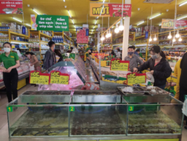 ‘Bom tấn’ Bách hoá Xanh gây chấn động chỉ sau 1 ngày khai trương shop ‘5 tỷ’ hoàn toàn mới: doanh thu ngày 800 triệu, xuất 3176 hóa đơn